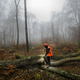 Illustration for article titled Ikea Is Buying Up Whole Forests, and So Is Apple
